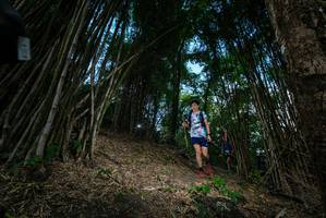 BIB: 
                            <button type="button" onclick="openModal(19395366)" class="btn btn-primary btn-sm float-right btn-popup" data-toggle="modal" data-target=".modal-high-quality">
                        <i class="fas fa-shopping-cart"></i> Add to Cart
                    </button>
                                            <button type="button" onclick="isThisMe(19395366, true)" class="btn btn-success btn-sm float-right btn-popup btn-isme hidden" data-toggle="tooltip" data-placement="bottom" title="นี่คือรูปของคุณใช่ไหม คลิกที่นี่เพื่อเอาเข้าอัลบั้ม">
                        <i class="fas fa-plus"></i> Add to album
                    </button>
                    <button type="button" onclick="isThisMe(19395366, false)" class="btn btn-warning btn-sm float-right btn-popup btn-isnotme hidden">
                        <i class="fas fa-ban"></i> Remove from album
                    </button>